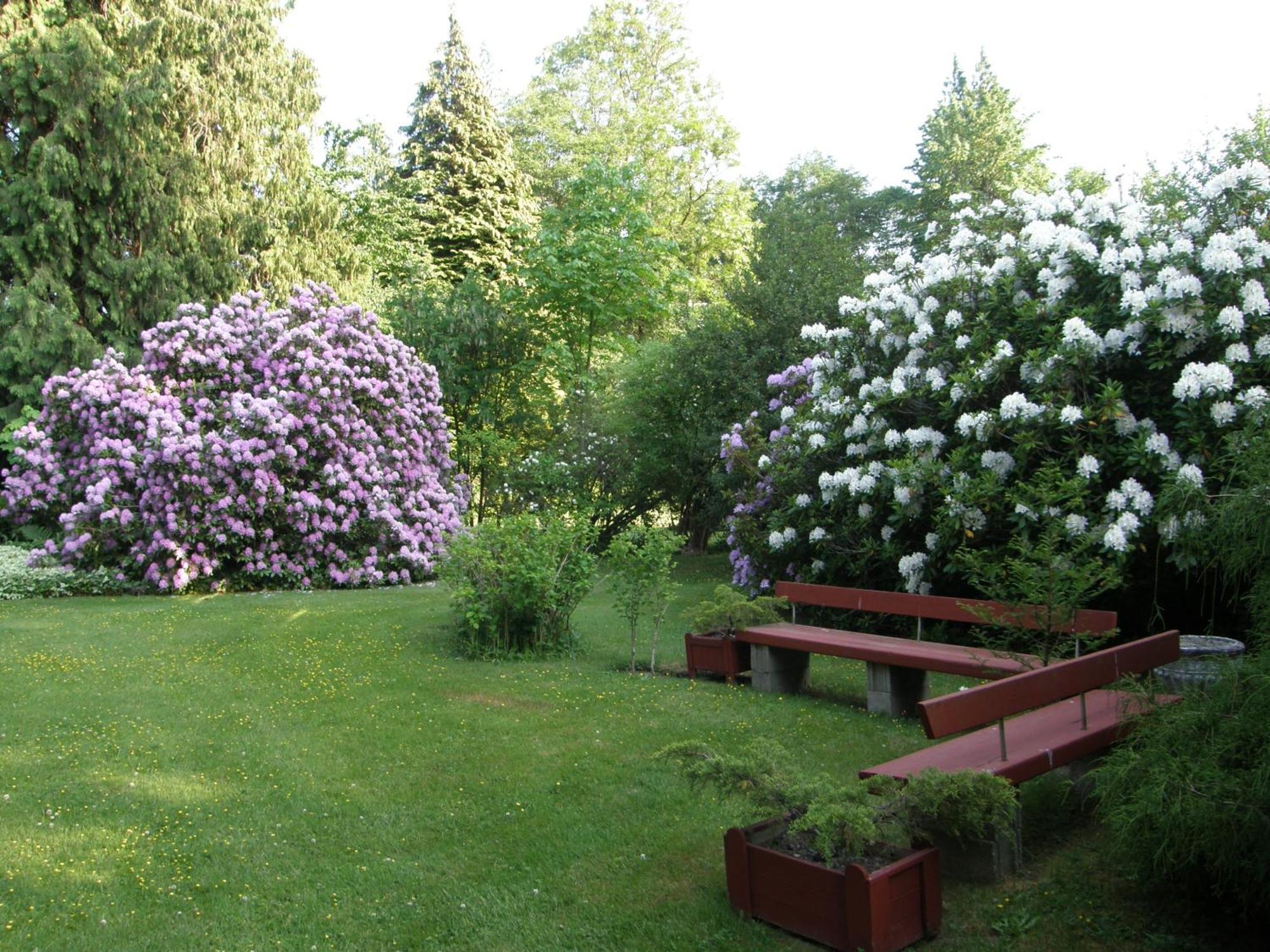 Cedar Wood Lodge Bed & Breakfast Inn พอร์ตอัลเบอนี ภายนอก รูปภาพ